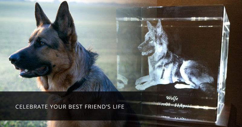 A Beautiful Photo Crystal Memorial Will Honor Your Lost Pet