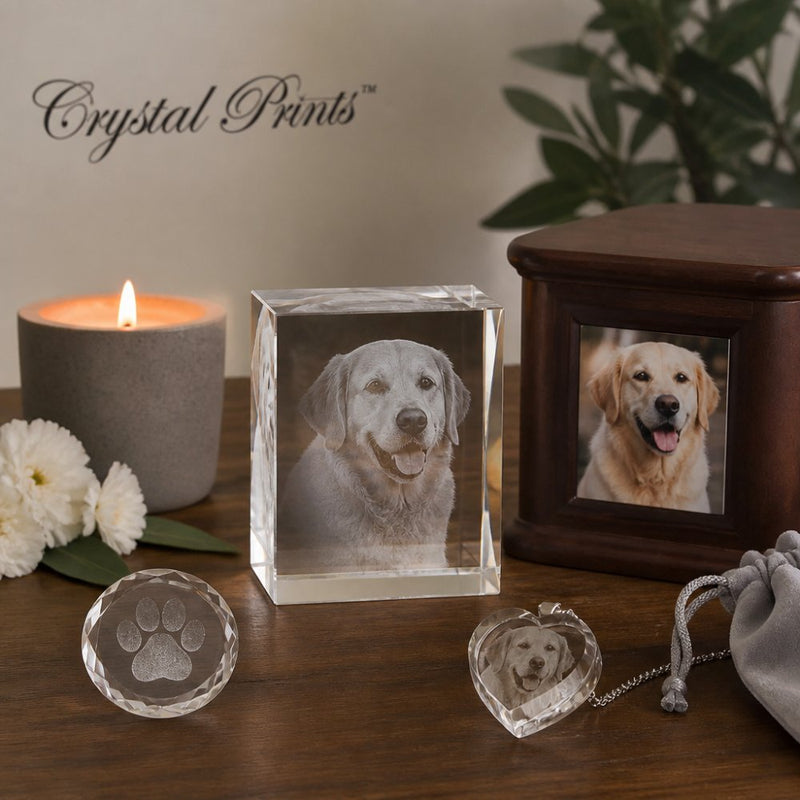 Personalized Gifts for Pet Loss: Honoring Your Beloved Companion