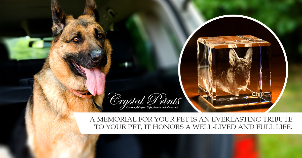 ​Preserve Happiness with Pet Memorials