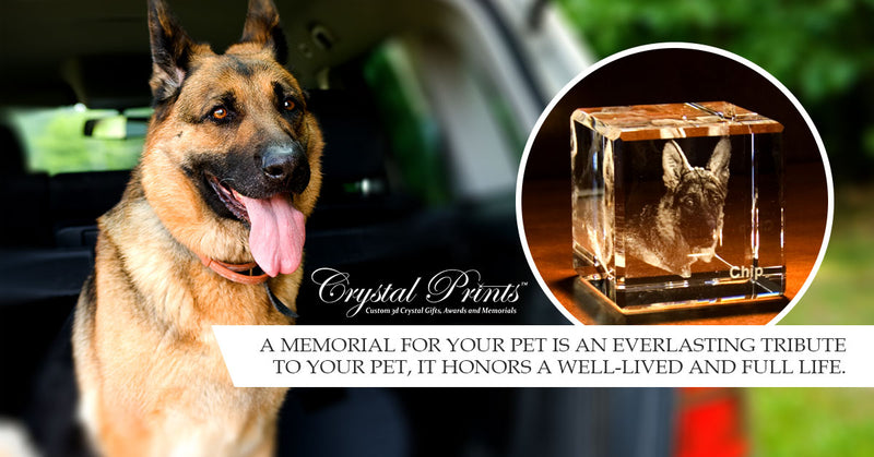 ​Preserve Happiness with Pet Memorials