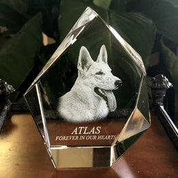 3D Prestige Photo Crystal