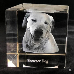 3D Photo Crystal Cube
