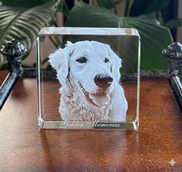 Square 2D Paperweight Large