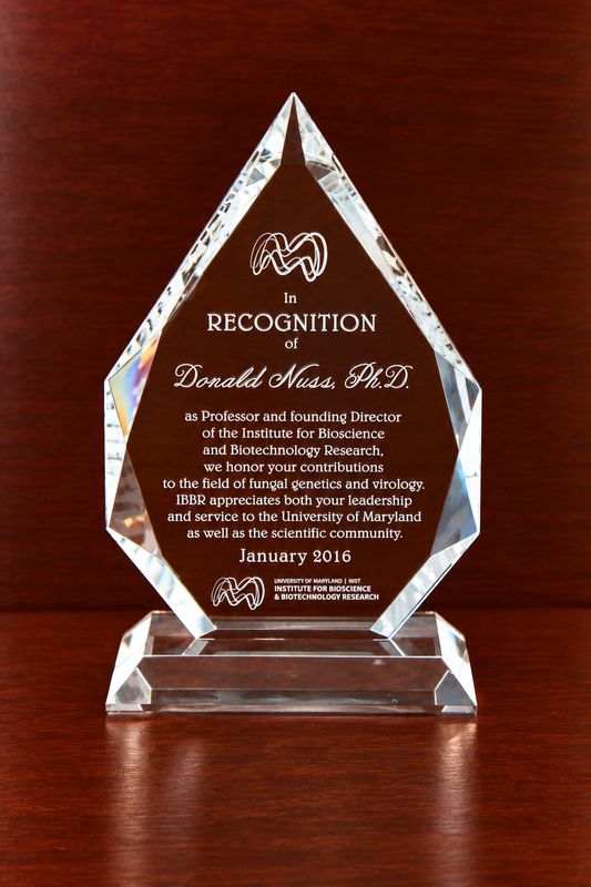 Royal Diamond Award