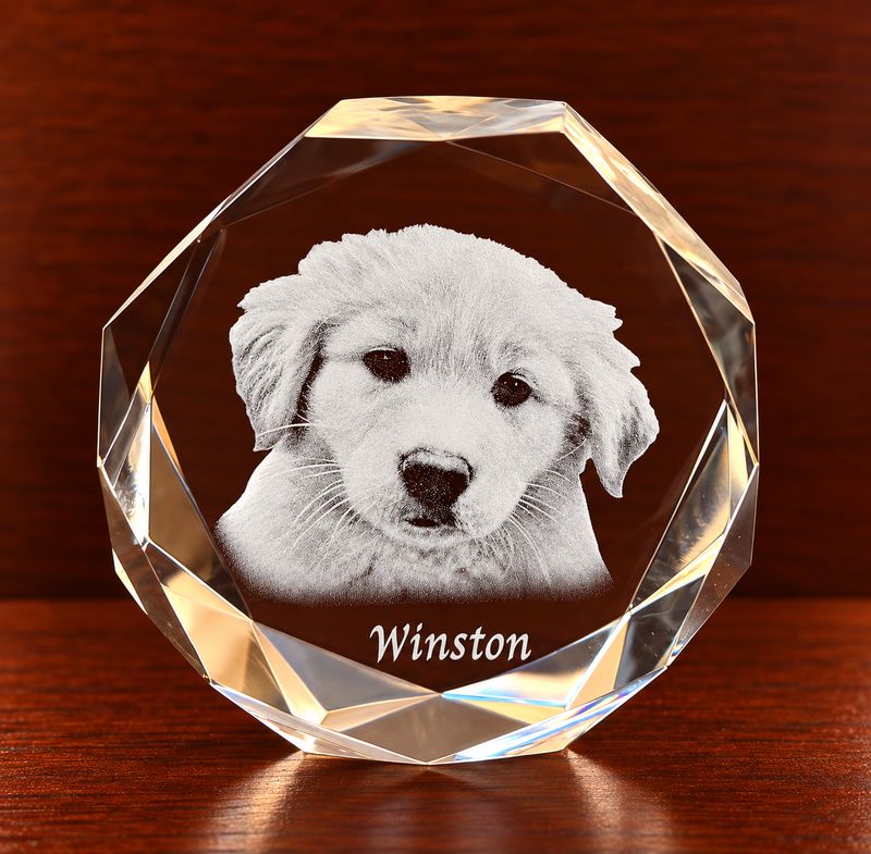 Jeweled Puck Paperweight