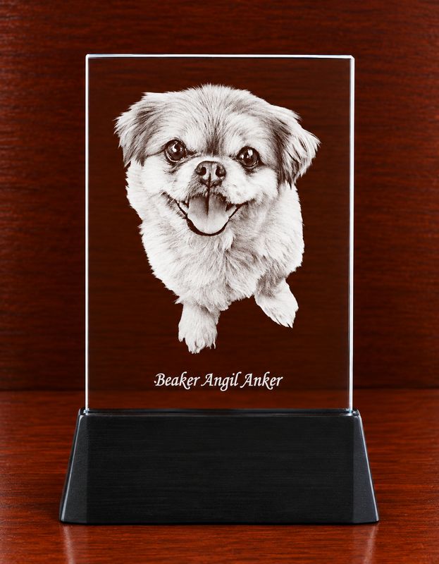 Lighted Plaque