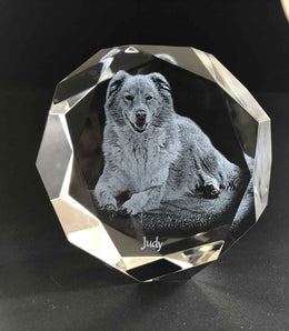 Jeweled 2D Puck Paperweight
