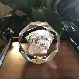 Jeweled 2D Puck Paperweight