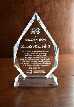 Photo Crystal 2D Royal Diamond Award