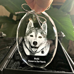 Photo Crystal Oval Ornament