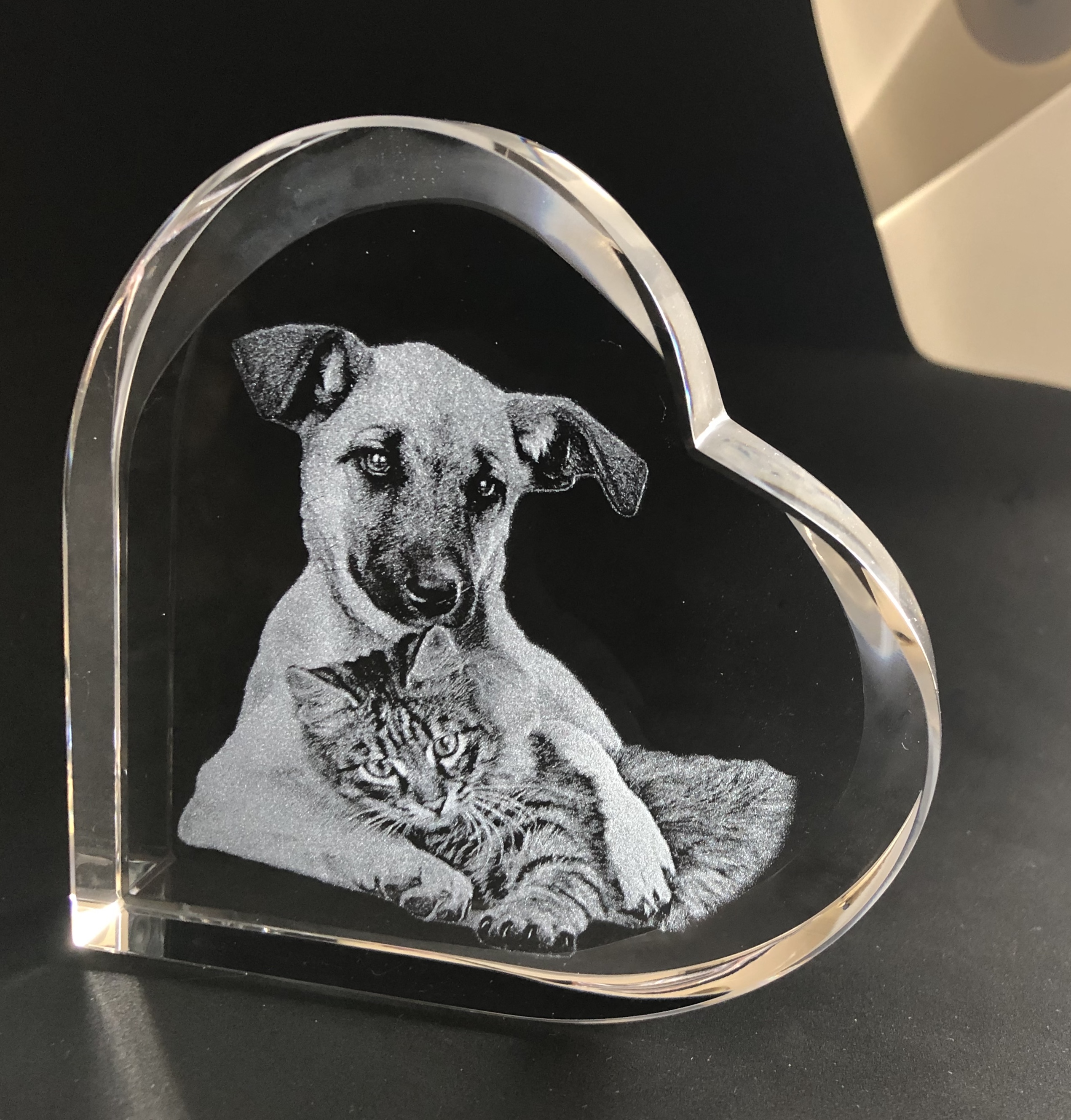 Crystal Prints Pet Photos